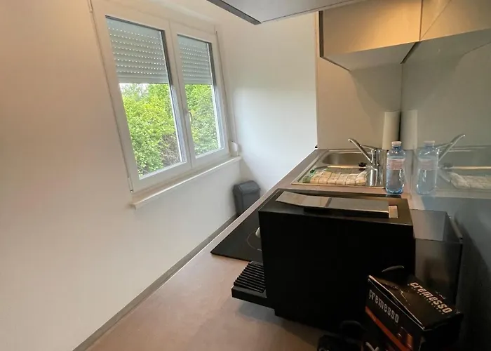 Apartment Bachhaus *